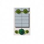 A green plant is in front of a window.